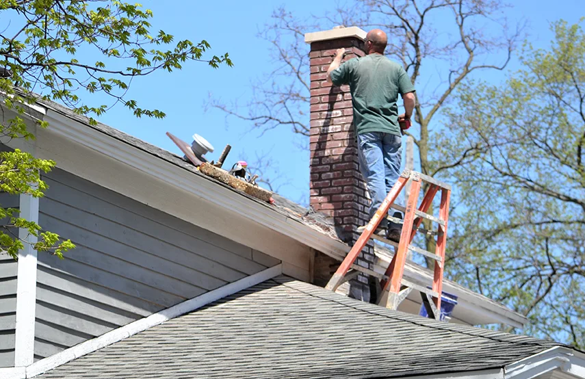 Chimney & Fireplace Inspections Services in Galesburg, IL